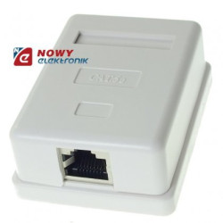 Puszka K5e 1xSTP RJ45 Natynkowa /gniazdo sieciowe komputerowe-Elektryka