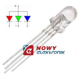 Dioda LED 5mm RGB wsp.anoda matowa-Podzespoły Elektroniczne