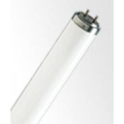 Świetlówka PIŁA LF 36W Dzienna Chłodna biała LF80 36W/865 120cm-Oświetlenie